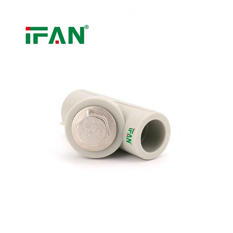 IFAN PPR Filter suppliers